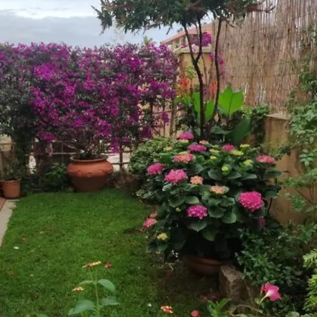 Lägenhet La Casa Di Luca Olbia