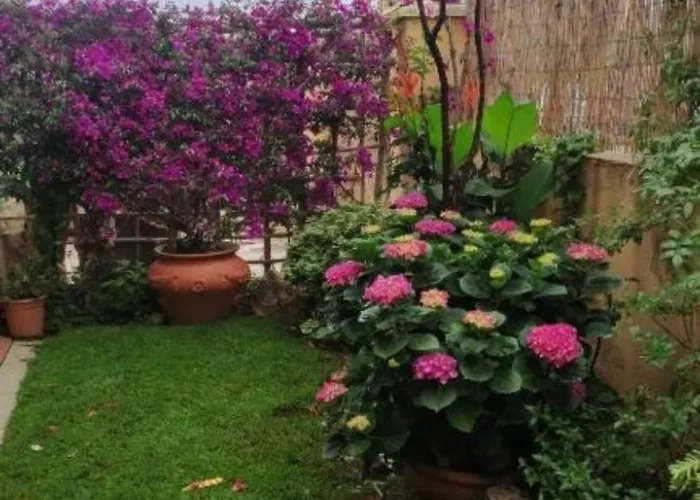 Apartamento La Casa Di Luca Olbia