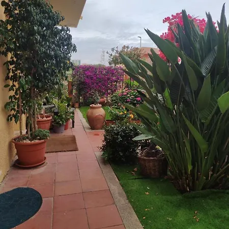 La Casa Di Luca * Όλμπια